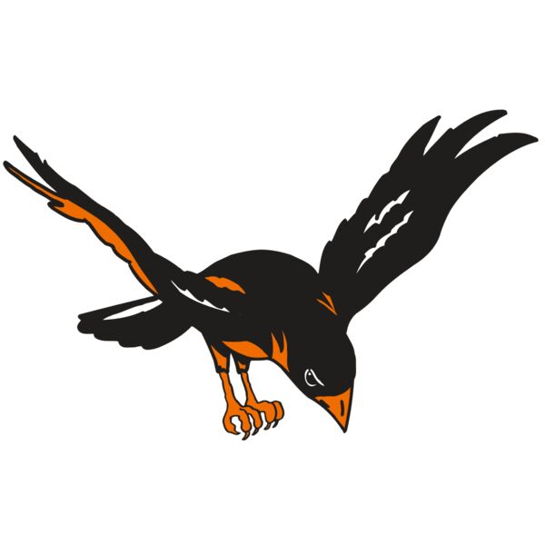 AR ORIOLE 16 RC Thumbnail